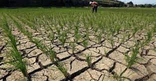 Badan Cuaca Dunia Prediksi El Nino Terbentuk pada Paruh Kedua 2026