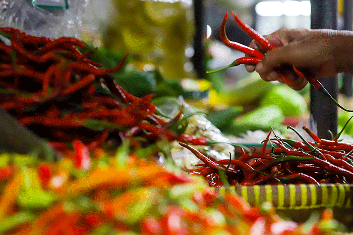 Kementan Pastikan Stok Cabai Surplus di Masa Ramadan dan Lebaran