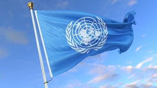 Empat Kandidat Bersaing Jadi Sekjen PBB Baru, Mayoritas dari Amerika Latin