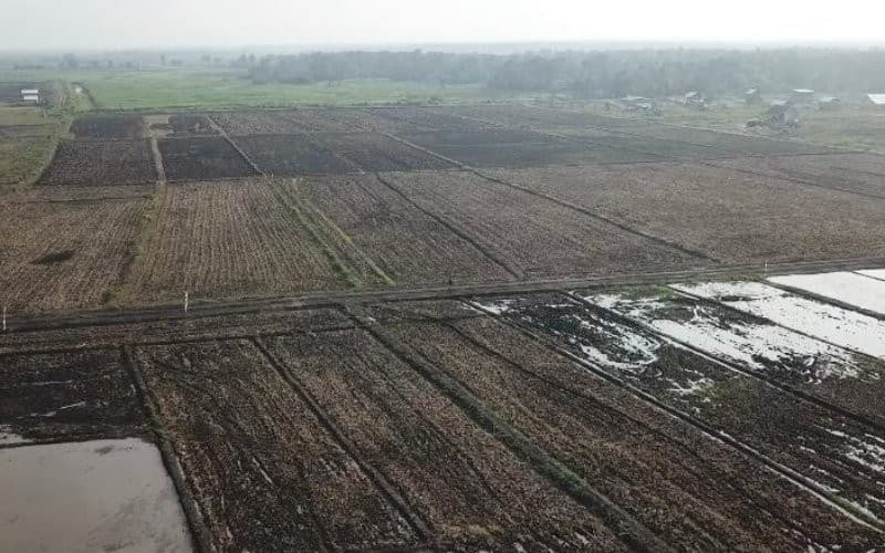 Nusron Wahid Sebut Sebagian Besar Tanah di Indonesia Masih Dikuasai Kelompok Tertentu