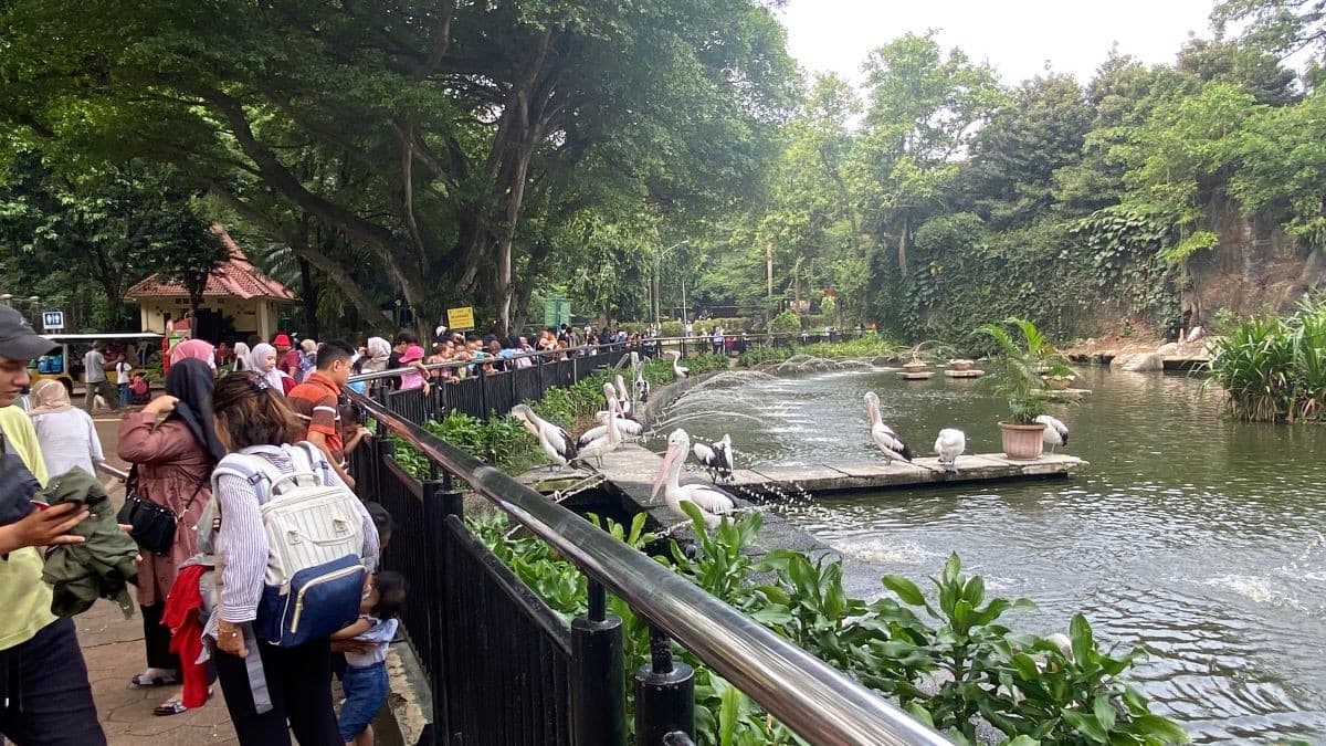 Ramadan Sebentar Lagi, Taman Margasatwa Ragunan Siapkan Penyesuaian Operasional