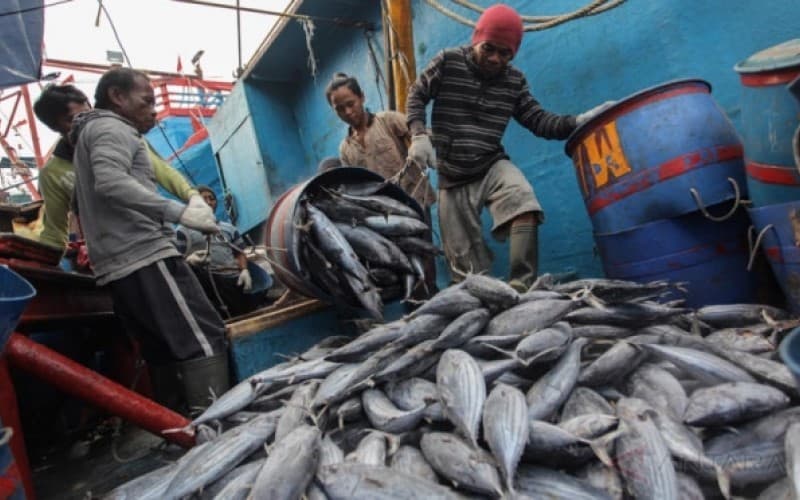Ramadan 2026, KKP Ungkap Harga Komoditas Hasil Laut Relatif Stabil