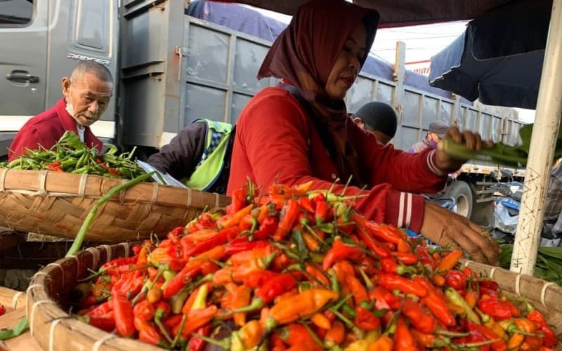 Mayoritas Harga Pangan Naik Jelang Ramadan, dari Cabai hingga Minyak Goreng