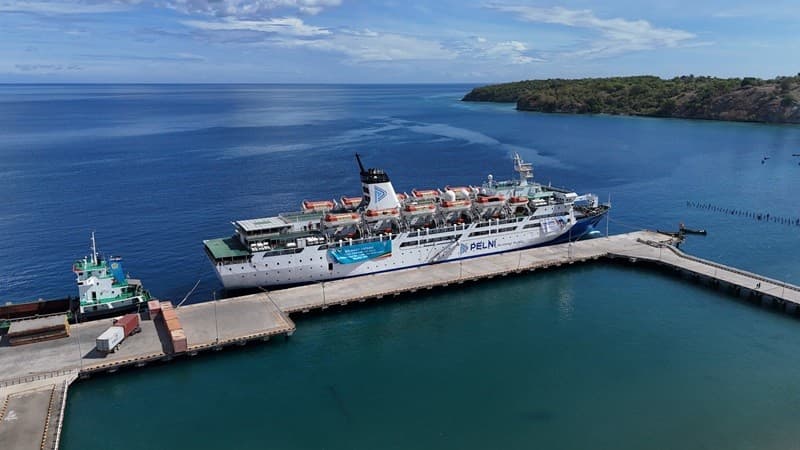 Simak Penjelasan Ahli Pelabuhan soal Rencana Merger BUMN Transportasi Laut