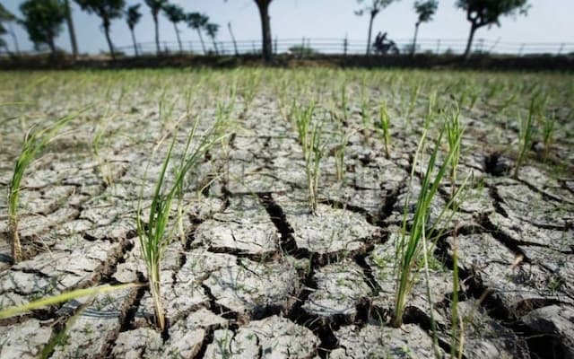 BMKG Bantah Kemarau 2026 Terparah 30 Tahun Terakhir, Ini Faktanya