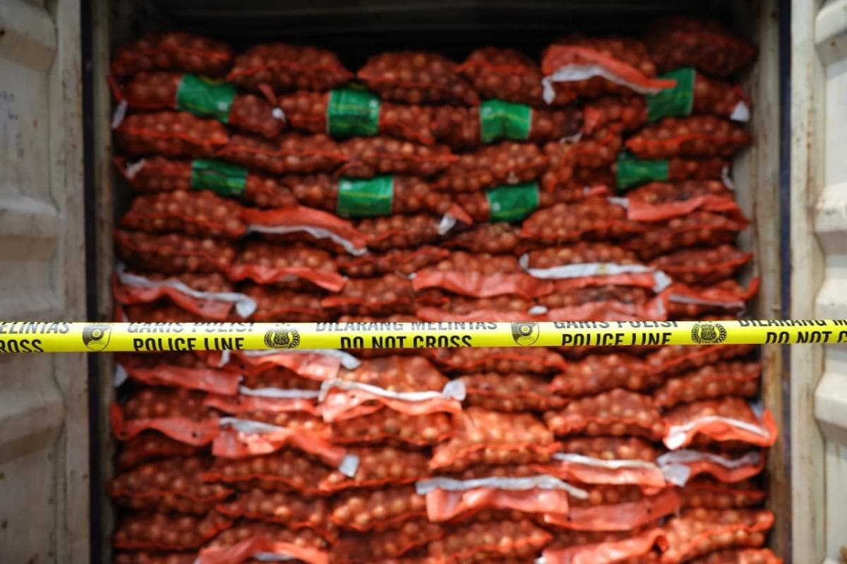 Mentan Musnahkan 72 Ton Bawang Bombai Impor Ilegal Berpenyakit