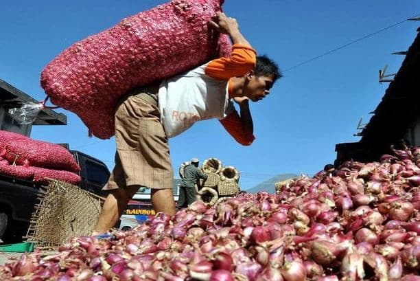 Swasembada Tercapai, Bawang Merah Brebes Tembus Pasar Vietnam hingga Thailand