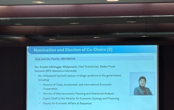 Kepala BPS RI Pimpin Governing Board International Comparison Program untuk Tiga Tahun