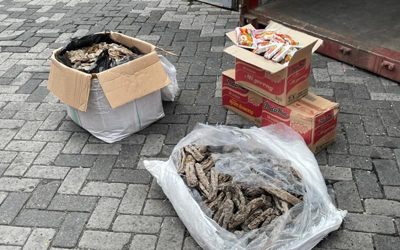 Bea Cukai Gagalkan Ekspor Sisik Trenggiling, Begini Modusnya