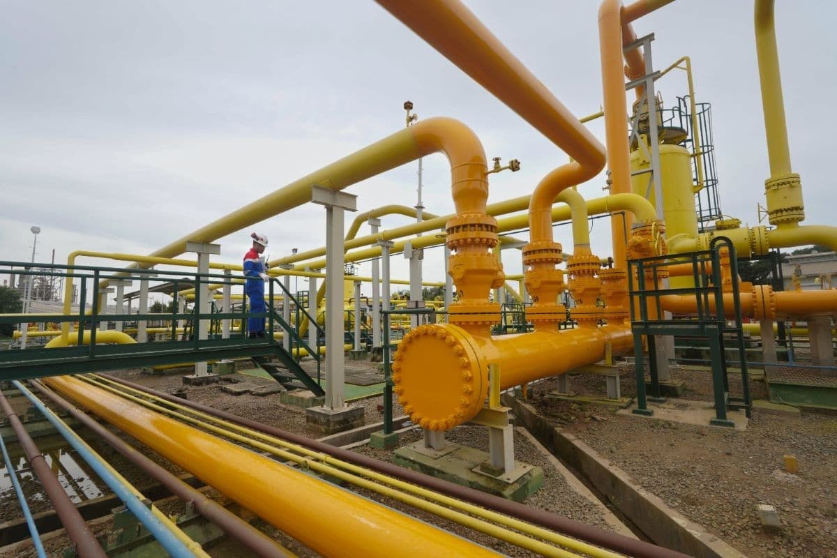 Pertagas Kantongi Pendapatan USD861,51 juta di 2025, Mayoritas dari Bisnis Transportasi dan Niaga