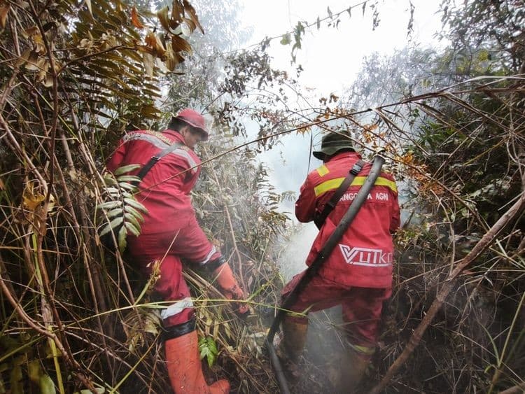 Kemenhut Perkuat Pengendalian Karhutla Jelang Idulfitri