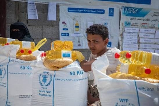 WFP: 45 Juta Orang Terancam Kelaparan, Indonesia Perkuat Swasembada Pangan
