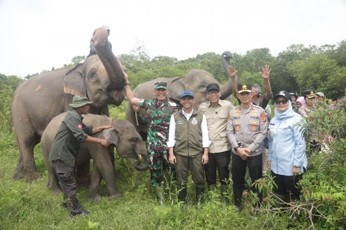 Menhut Janjikan Pembangunan Pembatas Taman Nasional Way Kambas Tuntas Akhir 2026