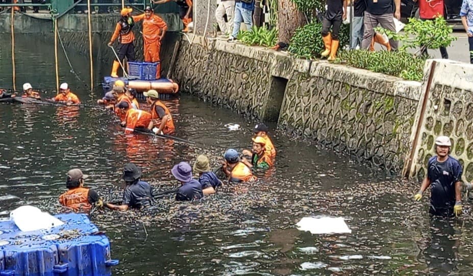 6,98 Ton Ikan Sapu-sapu Ditangkap dalam Operasi Pembersihan di 5 Wilayah Jakarta