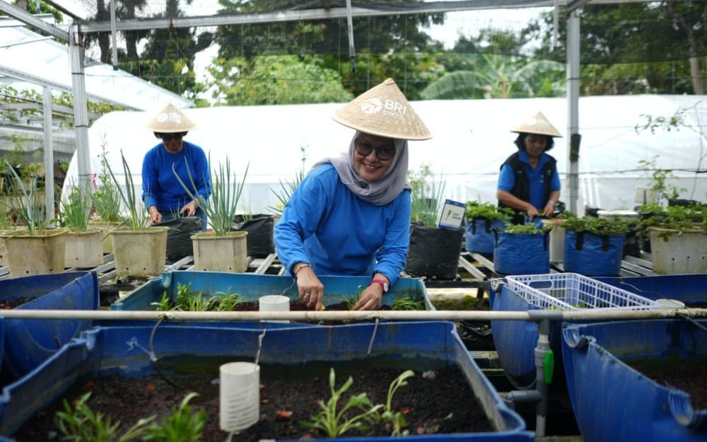Dari Kartini untuk Bumi: BRI Berdayakan Perempuan Lewat Urban Farming Program BRInita