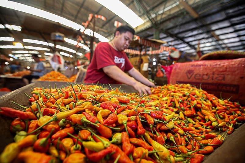 Kementan Jamin Stok Cabai Surplus untuk Ramadan hingga Lebaran 2026