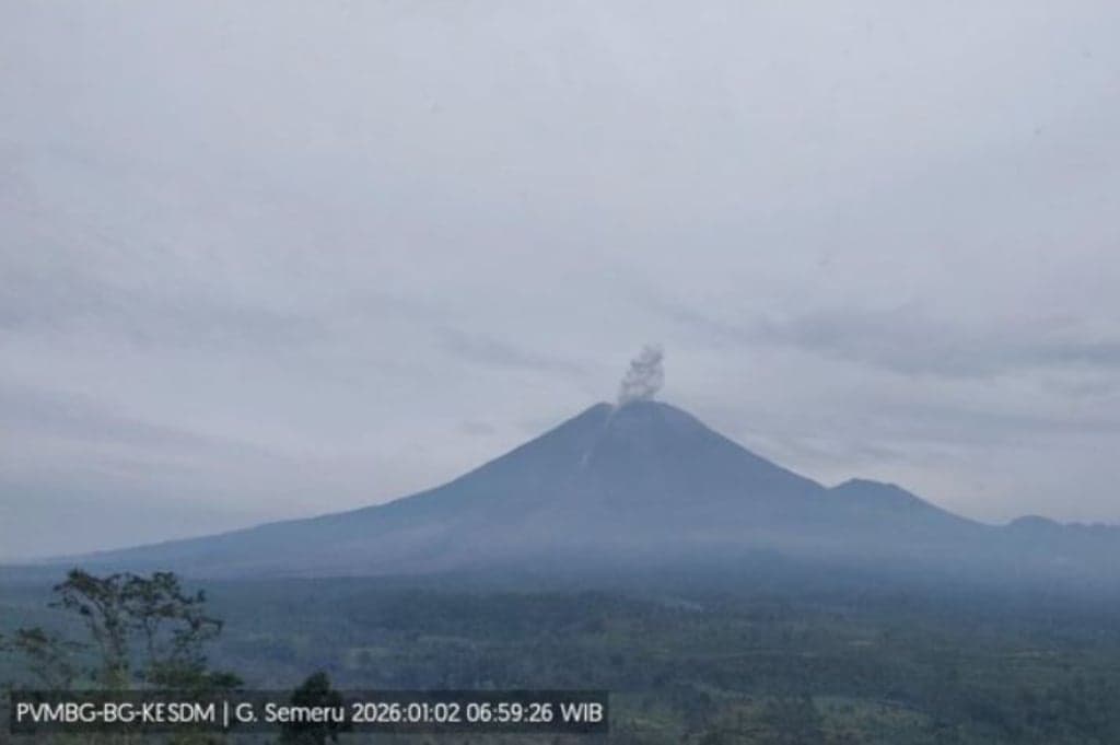 Gunung Semeru Meletus Lagi di Awal 2026, Kolom Abu Setinggi 600 Meter