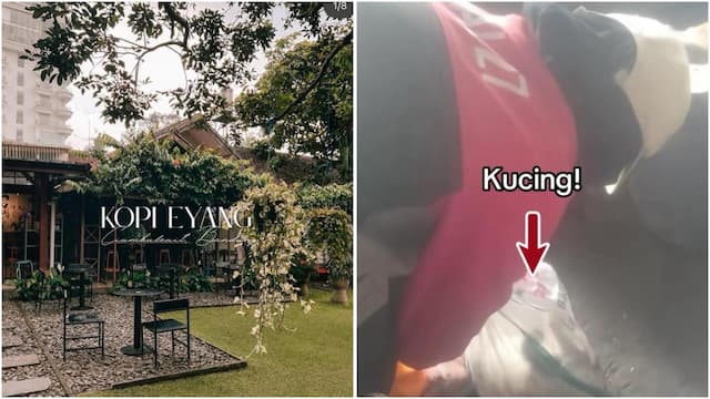 Kronologi Lengkap Kopi Eyang Bungkus Kucing dalam Karung dan Buang ke Tong Sampah, Endingnya Minta Maaf! Kronologi Lengkap Kopi Eyang Bungkus Kucing dalam Karung dan Buang ke Tong Sampah, Endingnya Minta Maaf!