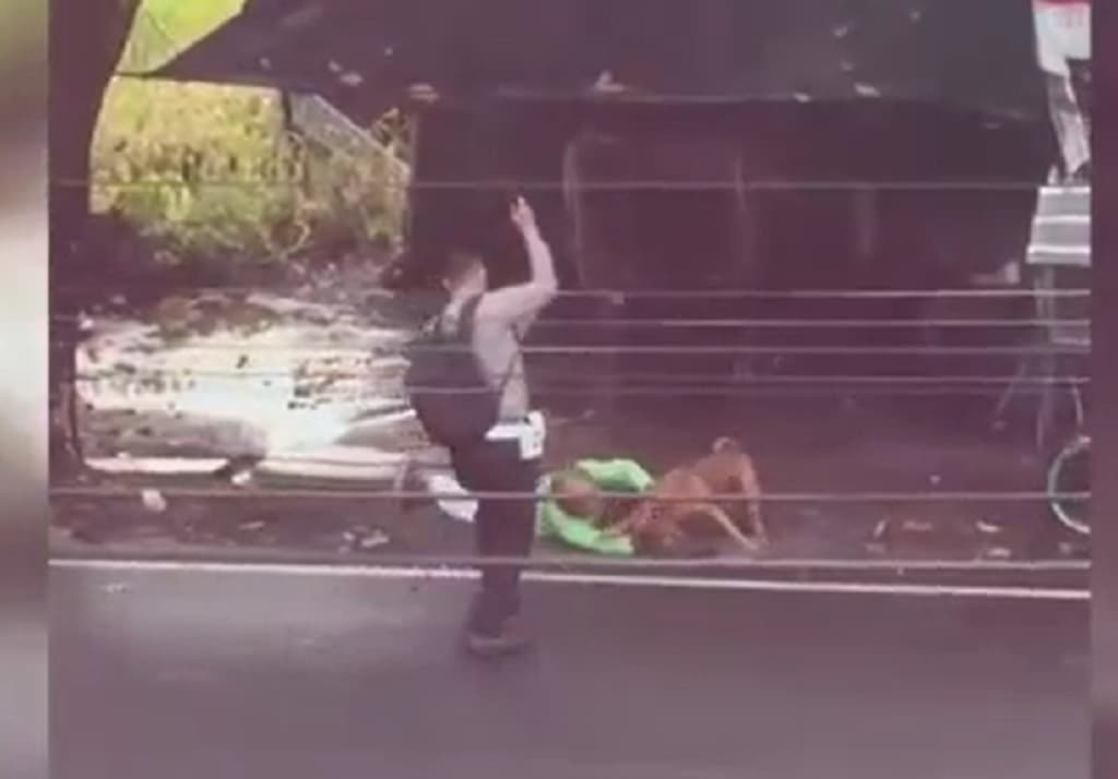 Aksi Heroik Polisi di Lampung Tolong Warga dari Serangan Anjing Pitbull