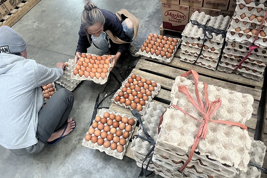 Duh! Harga Telur Ayam Ras Naik di 210 Daerah Jelang Lebaran 