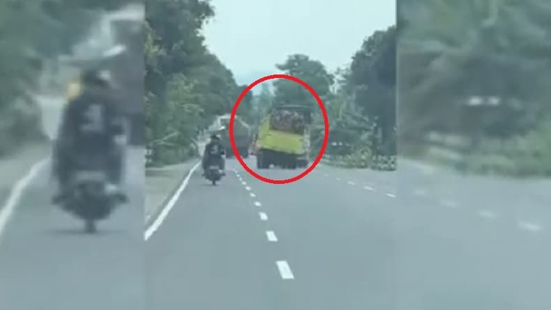 Viral! Truk Kayu Ugal-ugalan di Lumajang, Sopir Ditangkap Kendaraan Ditahan Polisi 30 Hari
