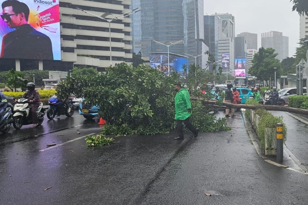 Pohon Tumbang di Jalan Sudirman, Lalin Arah Bundaran HI Hanya Satu Jalur