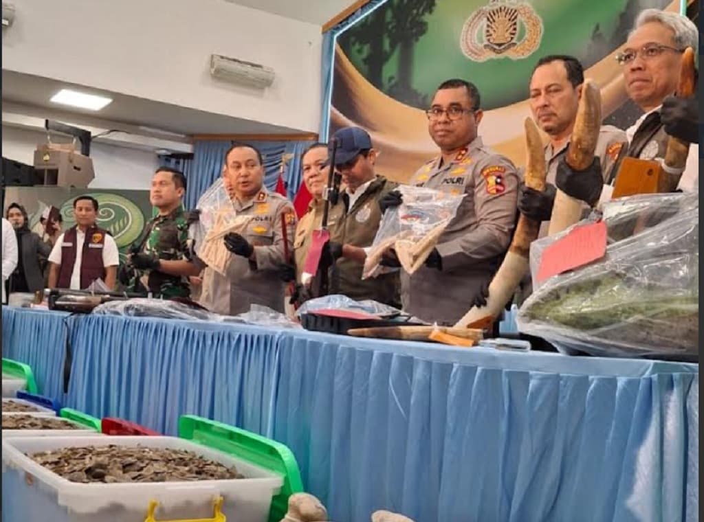 Polisi Tangkap 15 Orang Sindikat Pemburu Gajah Sumatera di Riau, 3 Masih Buron