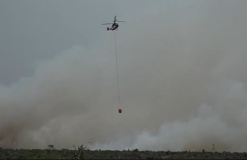 Karhutla di Riau Meluas, BNPB Catat 2.713 Hektare Ludes Terbakar