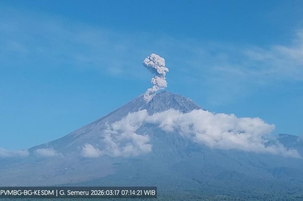 Gunung Semeru Meletus, Ketinggian Kolom Abu Capai 700 Meter