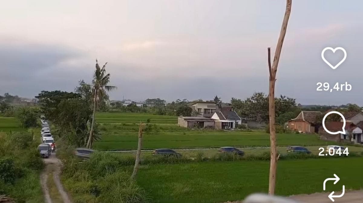 Viral! Ratusan Mobil Pemudik Tersesat ke Sawah Gara-Gara Google Maps