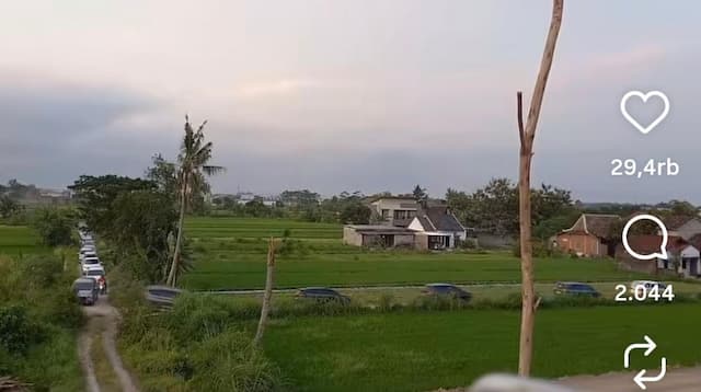 Viral! Ratusan Mobil Pemudik Tersesat ke Sawah Gara-Gara Google Maps
