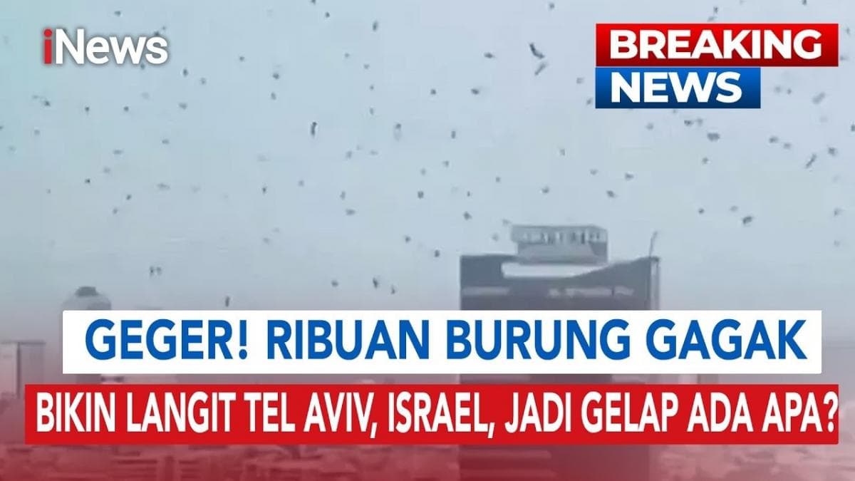 Mengerikan, Ribuan Burung Gagak Hitam Selimuti Langit Kota Tel Aviv