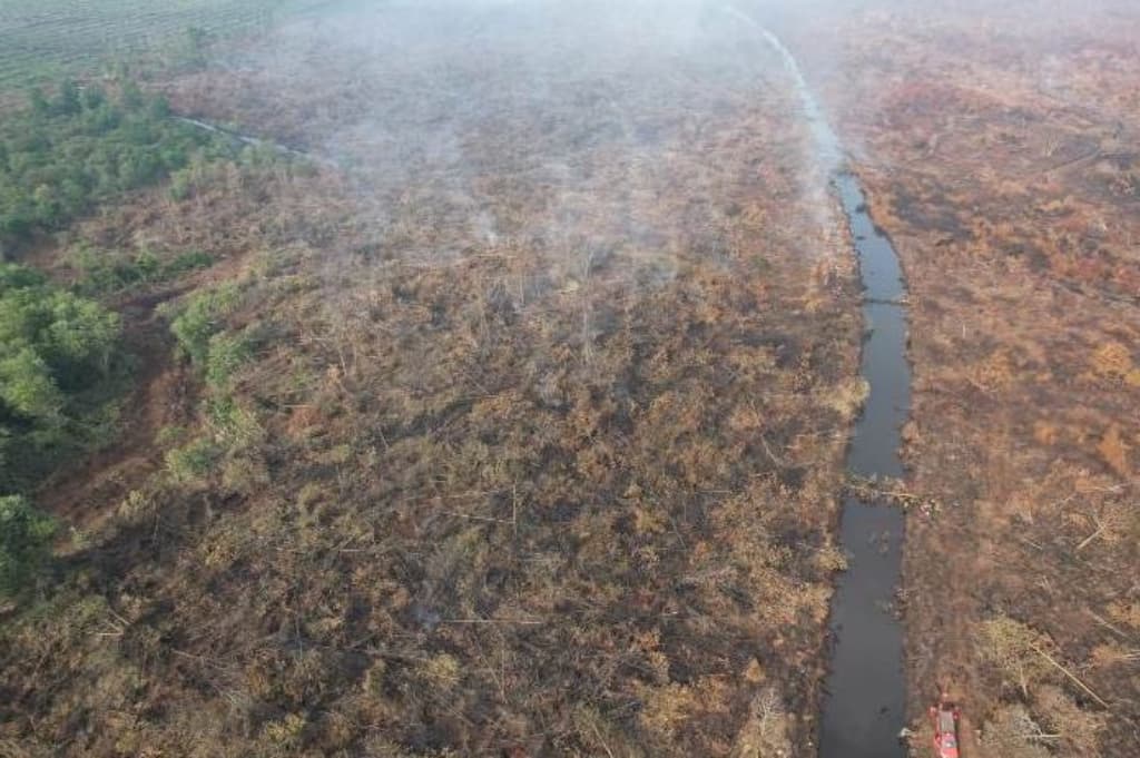 Karhutla Riau Meluas, 900 Hektare Lahan Terbakar