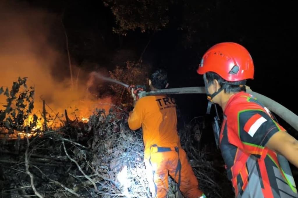 Karhutla di Kutai Barat Kaltim, 1 Hektare Lahan Perkebunan Terbakar