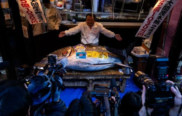 Rekor! Ikan Tuna Ini Terjual Rp55 Miliar dalam Lelang, Termahal di Dunia