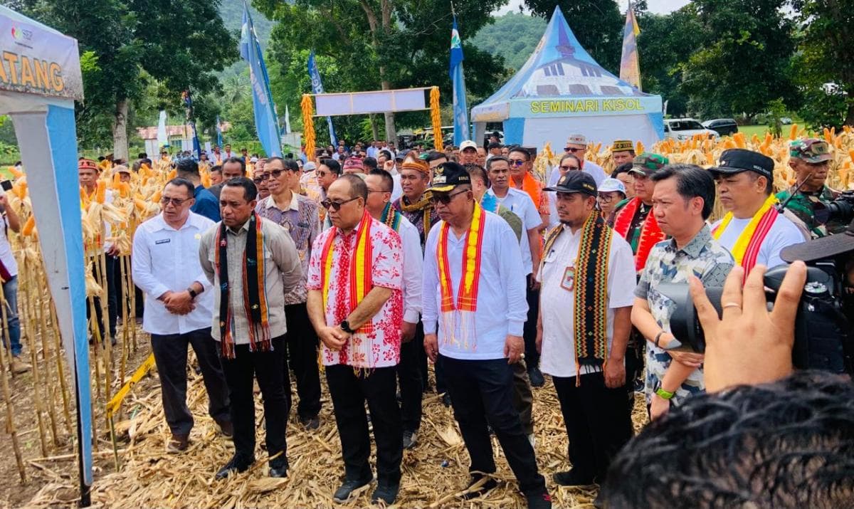 Kementerian Pangan dan Pertanian Hadir Panen Raya Jagung di Seminari Kisol Kementerian Pangan dan Pertanian Hadir Panen Raya Jagung di Seminari Kisol