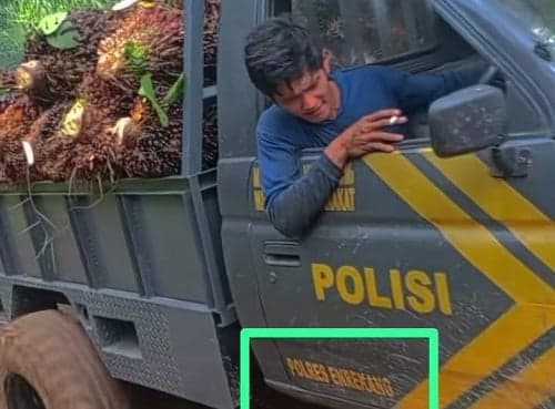 Viral Kendaraan Dinas Polri Digunakan untuk Mengangkut Buah Sawit di Mamuju