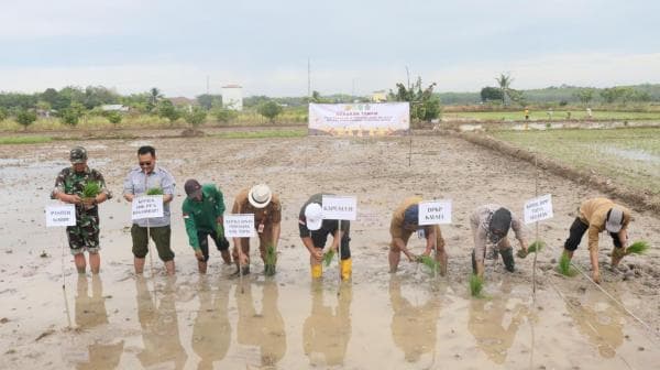 Kementan Pacu Indeks Pertanaman Dengan PAT