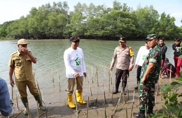 Semarak Hari Jadi Sulbar ke 20, Kabupaten Harus Terlibat Sepekan Menanam Mangrove