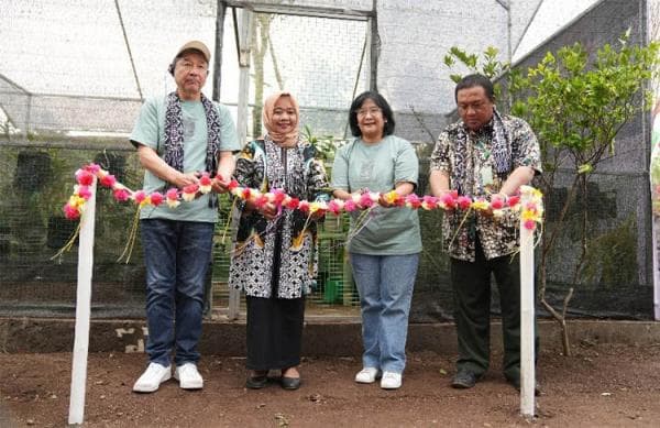 Cegah dari Kepunahan, 17 Anggrek Merapi Dilestarikan