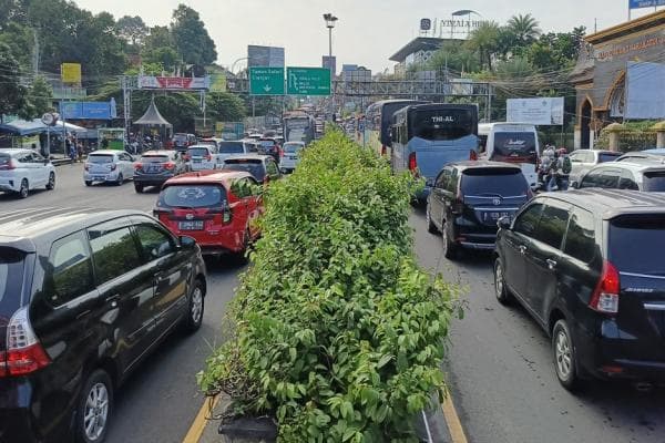 Jalur Puncak Bogor Berlakukan One Way Menuju Jakarta, Kendaraan Tertahan di Simpang Gadog