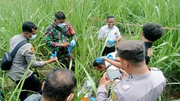 Warga Jember Ditemukan Tewas di Lahan Tebu, Polisi Selidiki Penyebab Kematian Korban