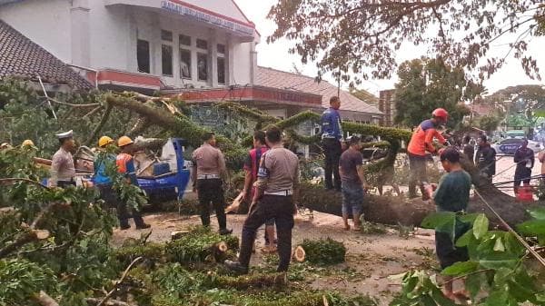 Mobil PLN Hancur Tertimpa Pohon Raksasa saat Hujan Deras di Lebak