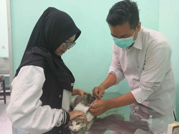 DKPP Kota Mojokerto Berikan Vaksin Rabies Gratis Bagi Hewan Peliharaan, Ini Syaratnya