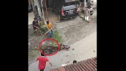 Viral! Warga Padang Pariaman Patah Tangan dan Jari karena Diseruduk Babi Hutan