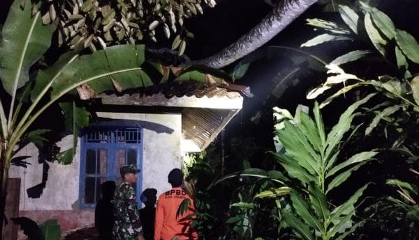 Pohon Tumbang Timpa Atap Rumah Warga di Rancah Ciamis