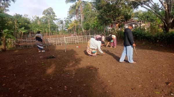 Manfaatkan Guyuran Hujan, Petani di Sirnagalih Mulai Garap Lahan Pertanian