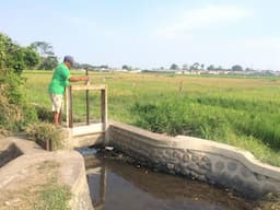 Irigasi Menyusut, Petani Lumajang Tunggu Tindakan Pemerintah