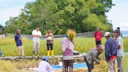 Petani di Balige Curhat ke Bobby Nasution soal Pupuk hingga Infrastruktur