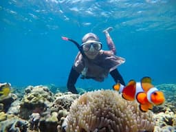 Pelayanan Prima dari Gili Ketapang Official: Pengalaman Snorkeling Tak Terlupakan!